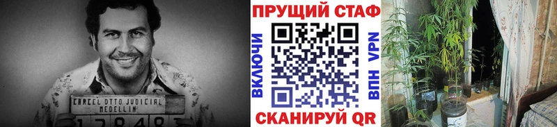 Купить наркотики Удачный СОЛЬ МЕФ Псилоцибиновые грибы Канабис ГАШИШ Амфетамин