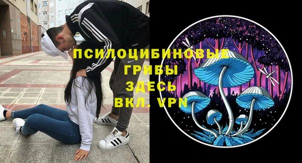 дурь Алексин