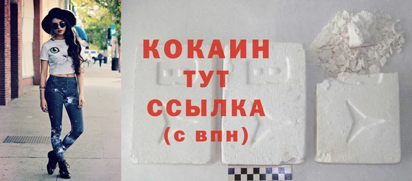 дживик Снежинск