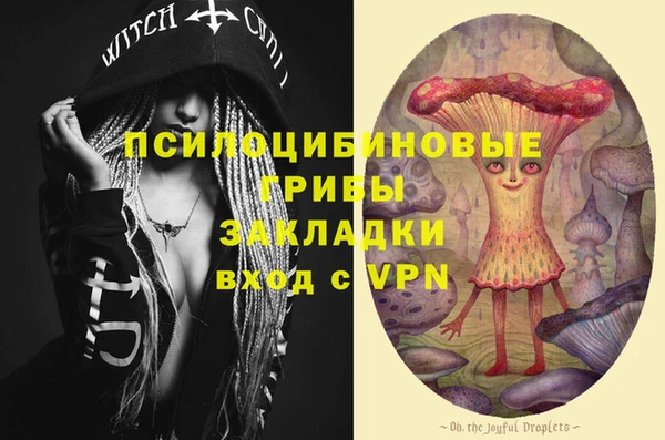 прущие крисы Алексеевка