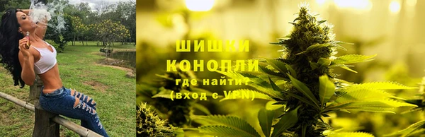 трава Слюдянка
