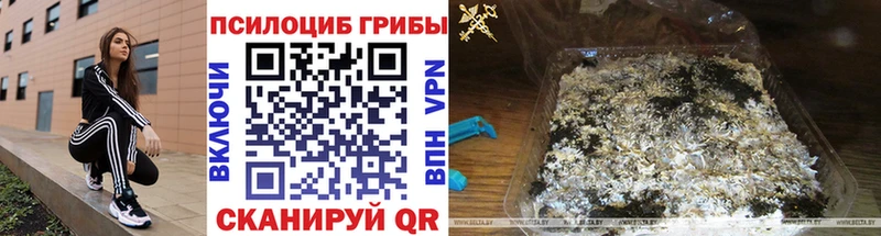 Галлюциногенные грибы мухоморы  Удачный 